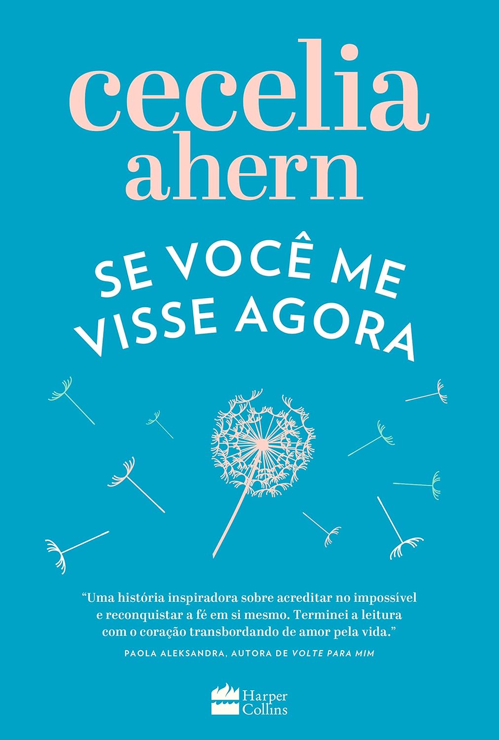 Se você me visse agora - Cecelia Ahern - Capa comum