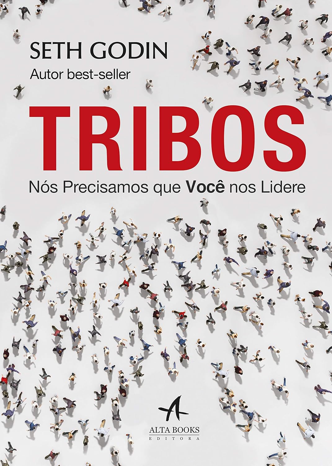 Tribos: nós precisamos que vocês nos liderem - Seth Godim - Capa comum