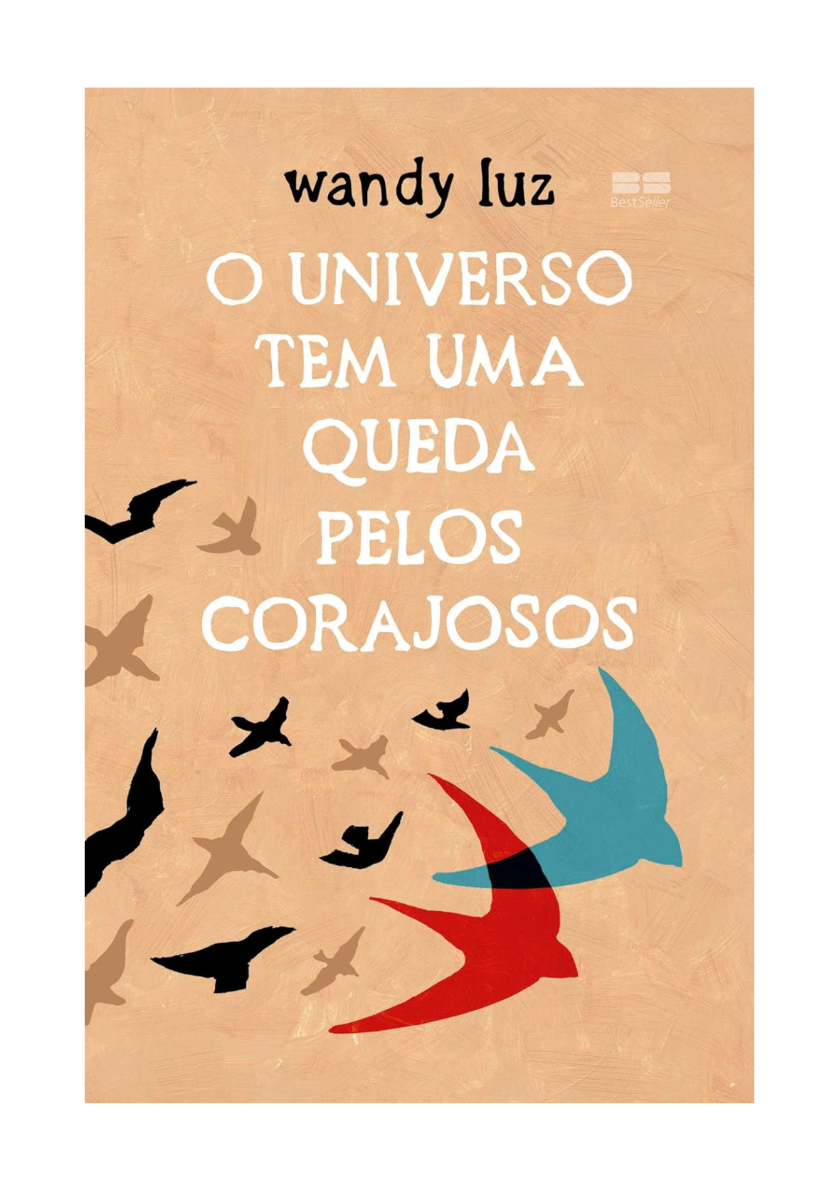 O universo tem uma queda pelos corajosos - Wandy Luz - Capa comum