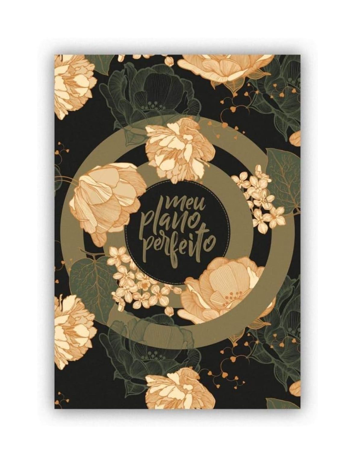 Meu Plano Perfeito - Capa Dura - Espiral Duplo