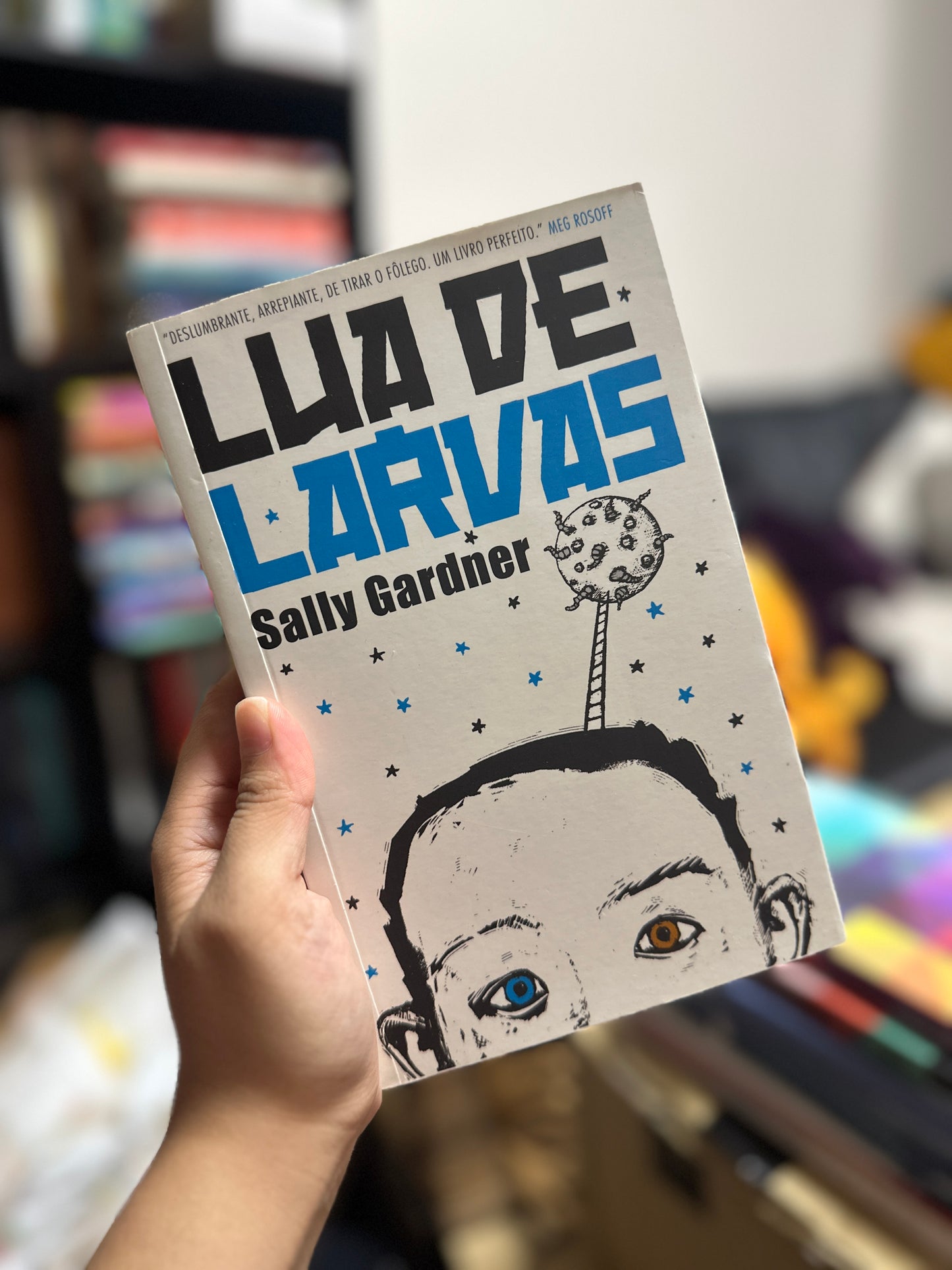 Lua de larvas - Sally Gardner (USADO)