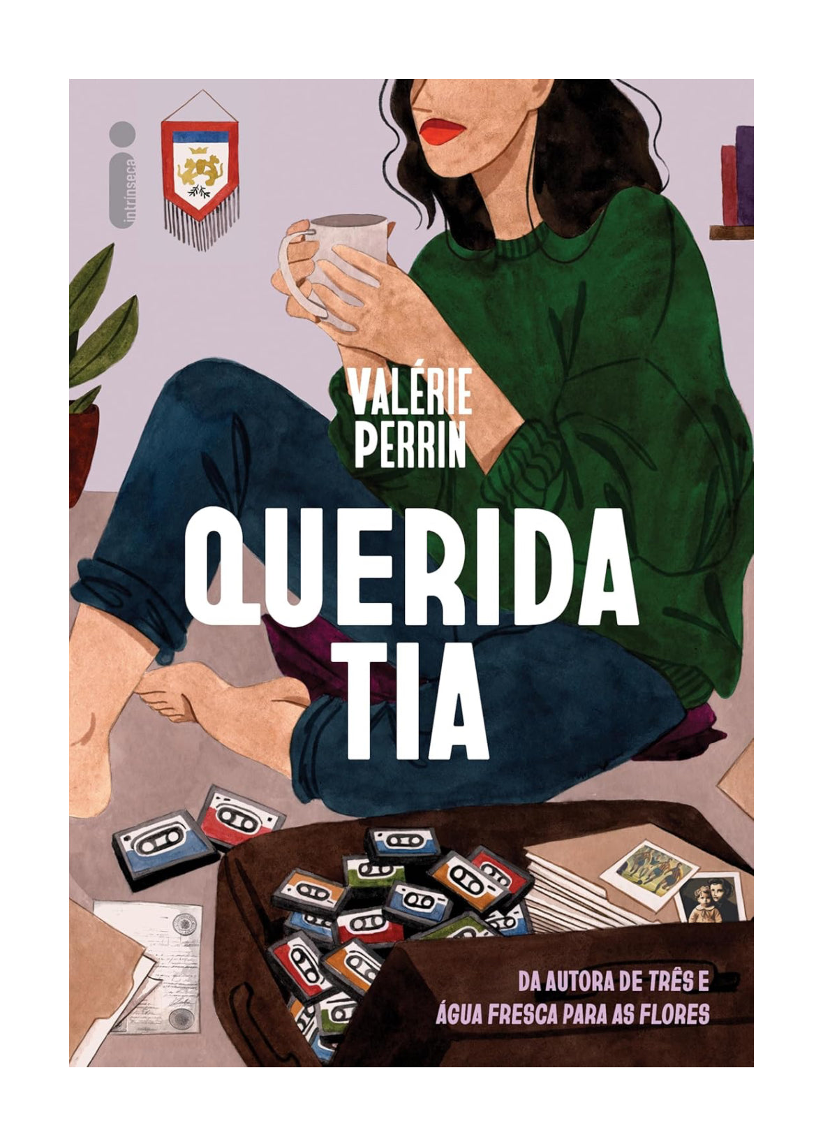 Querida tia - Valérie Perrin