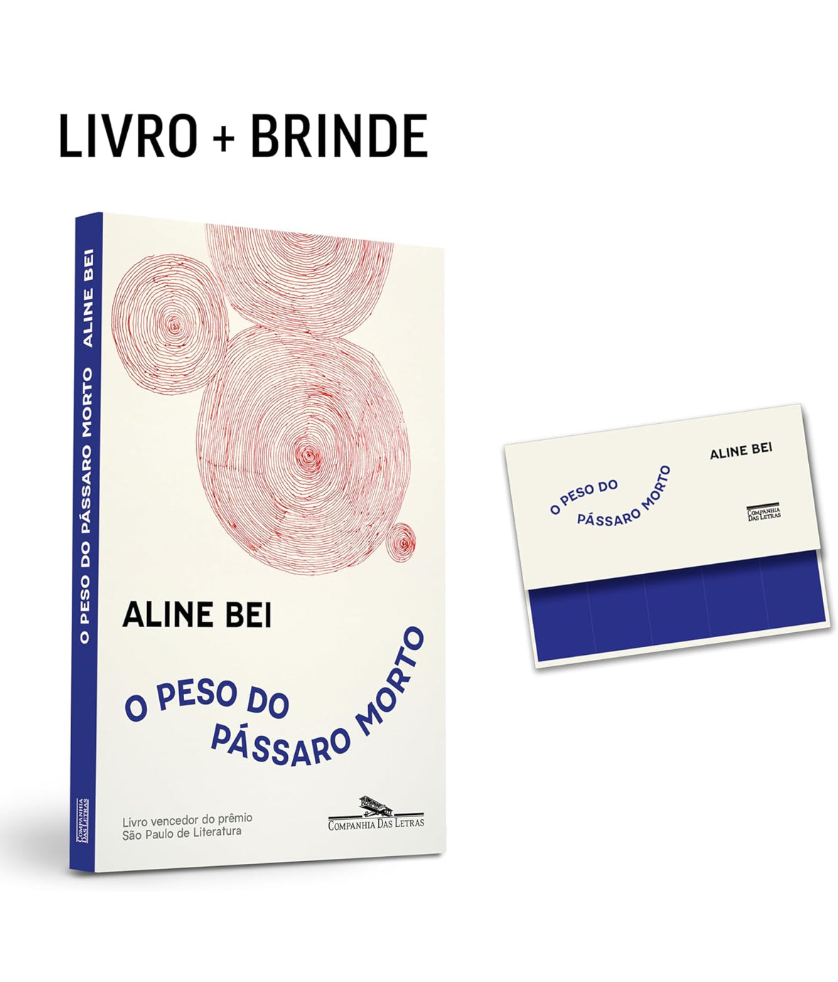 O peso do pássaro morto (Nova edição - com brinde) - Aline Bei