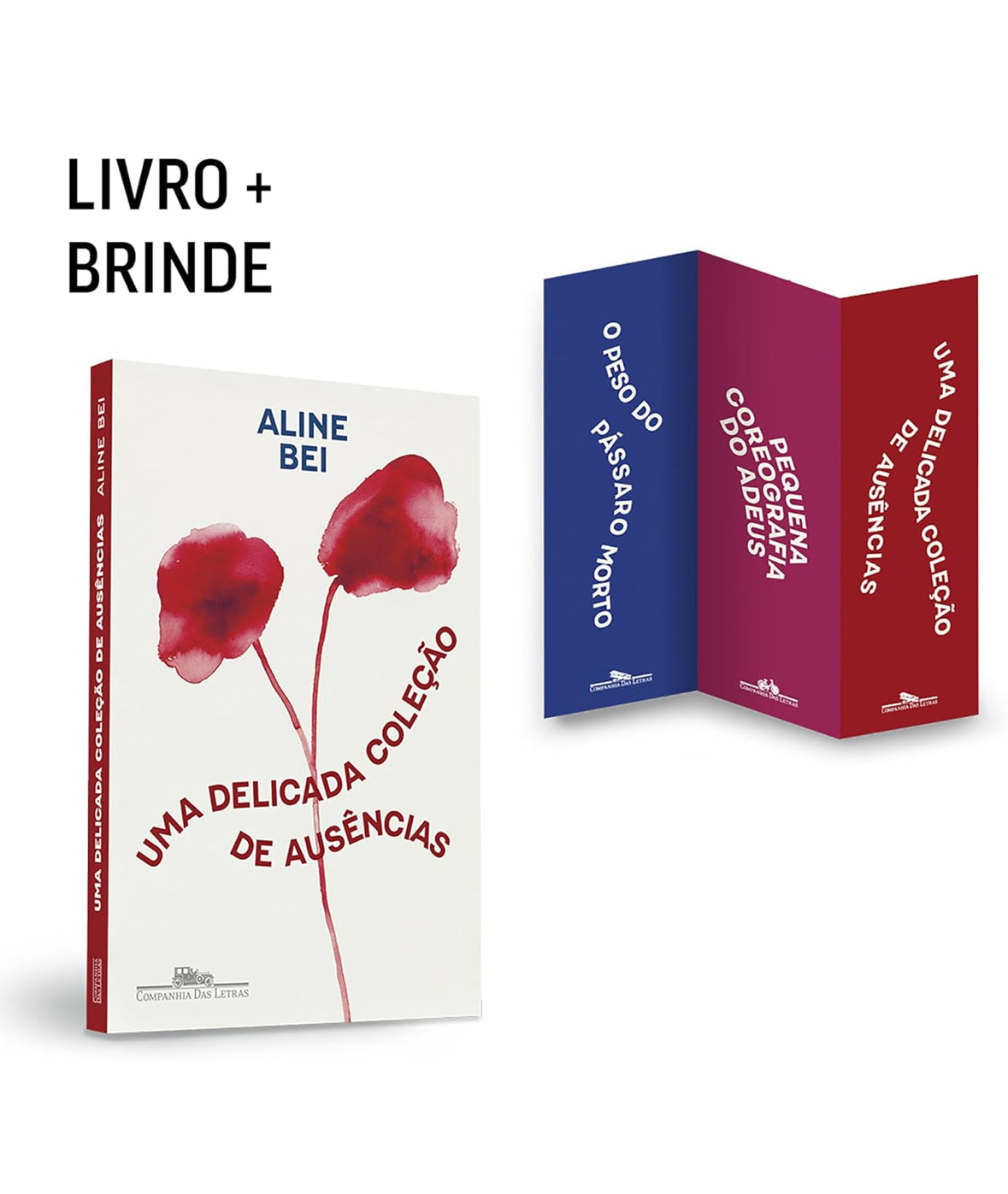 Uma delicada coleção de ausências (Com brinde) - Aline Bei