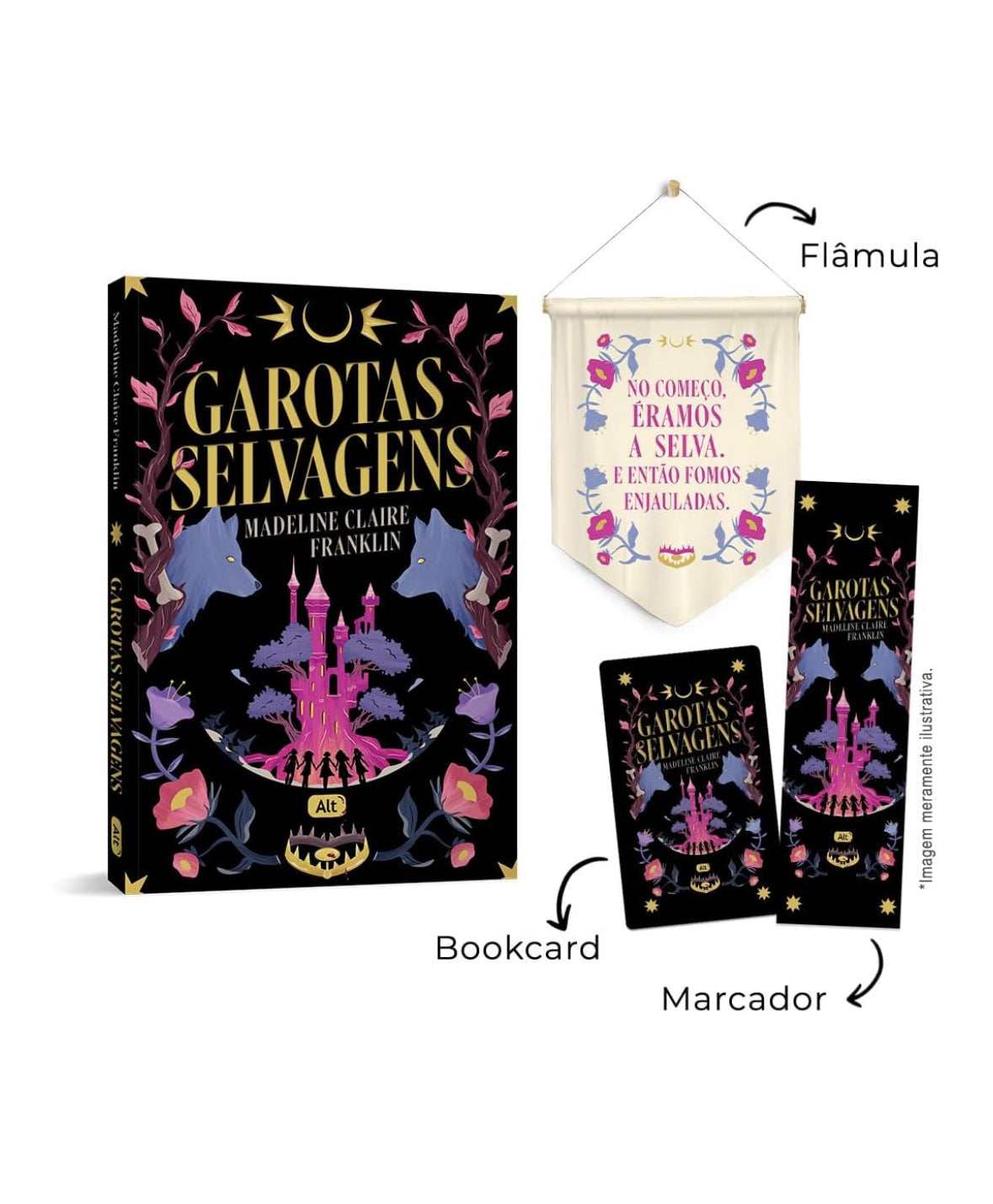 Garotas selvagens + Brindes - Madeline Claire Franklin