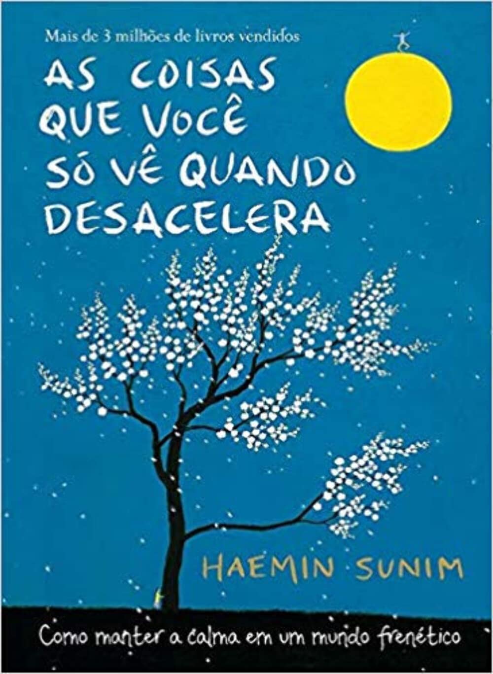 As coisas que você só vê quando desacelera: Como manter a calma em um mundo frenético - Haemin Sunim