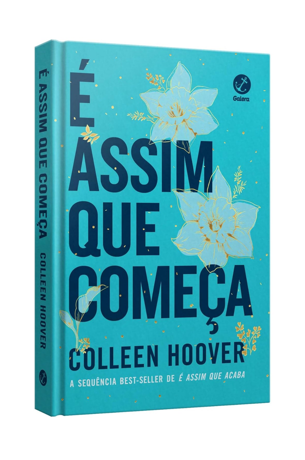 É assim que começa (Edição de colecionador) - Colleen Hoover