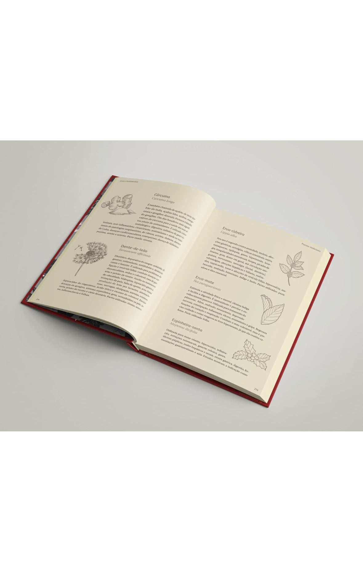 Ervas e benzimentos - Fábio Dantas - Capa dura