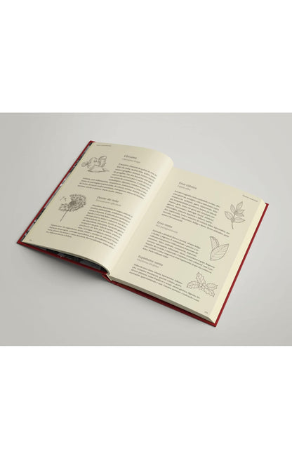 Ervas e benzimentos - Fábio Dantas - Capa dura