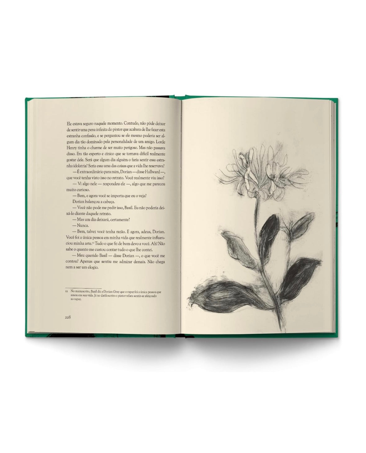 O retrato de Dorian Gray - Oscar Wilde - Capa dura Antofágica