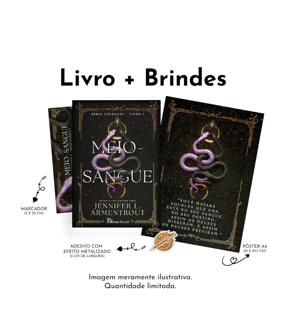Meio-sangue (Com brindes): 1  - Jennifer L. Armentrout