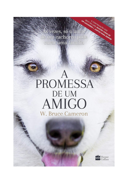 A promessa de um amigo - W. Bruce Cameron