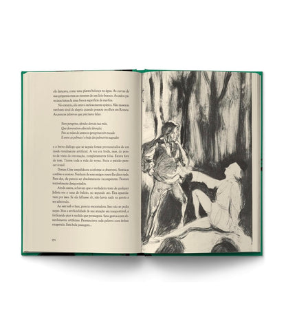 O retrato de Dorian Gray - Oscar Wilde - Capa dura Antofágica