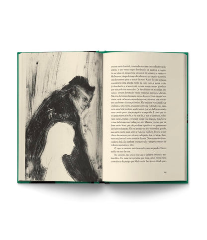 O retrato de Dorian Gray - Oscar Wilde - Capa dura Antofágica